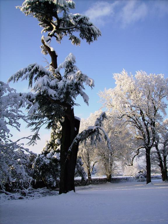 Chateau De La Garenne Rodelinghem Esterno foto